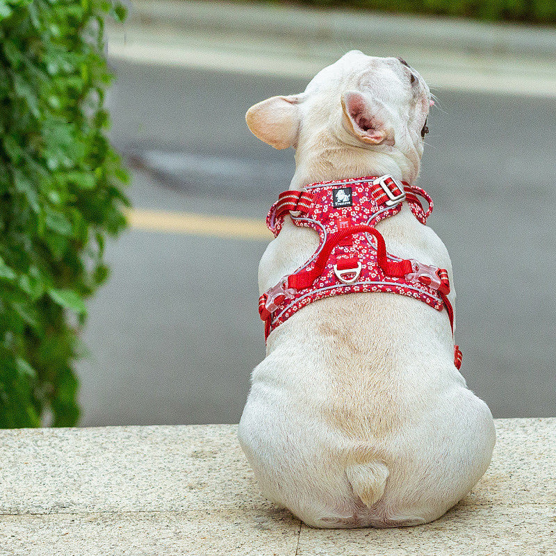 Elevate Your Pet's Style with Our Pet Dog Leash Set Vest Type Chest Harness